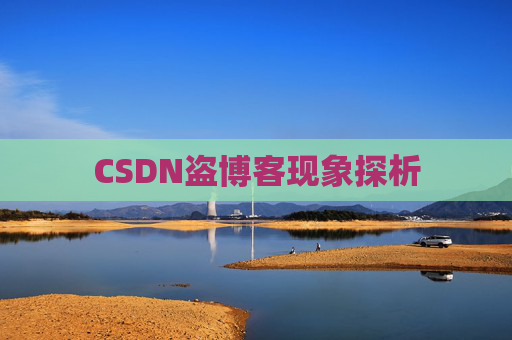 CSDN盗博客现象探析